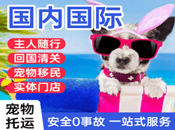 长水机场空运国际宠物托运 【国